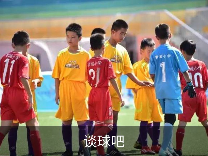 谈球吧简介